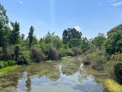 -白鹭湾湿地公园