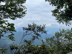 -张家界天门山国家森林公园