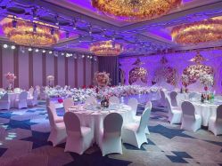 -曼格纳婚礼艺术中心(张江店)