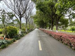 -凤凰沟景区