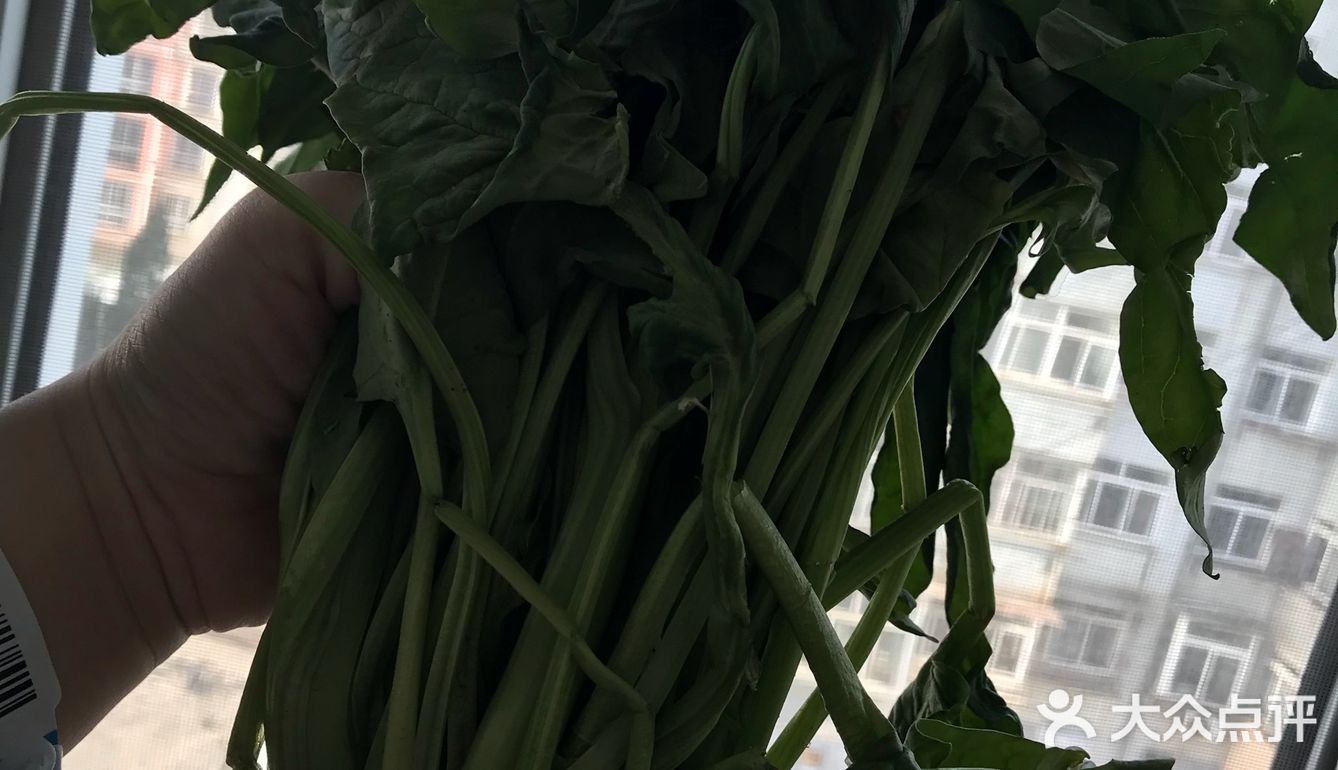 懒人版必备菠菜粉条炖肉,超级好吃。