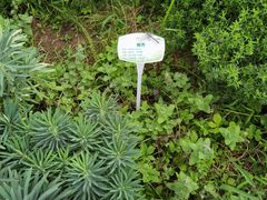 -北京植物园南门售票处