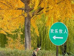 -海棠花溪(元大都城垣遗址公园)