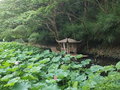 -兰亭风景区
