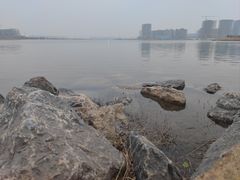 -北龙湖湿地公园
