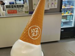 -野人先生现做冰淇淋(北京悠唐购物中心店)