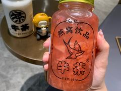 -牛茶·燕窝饮品(SKPS店)