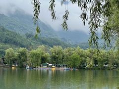 -后柳水乡