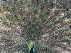 -昆山城市生态森林公园