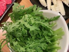 茼蒿-掂档潮汕牛肉火锅(沈阳万象城店)