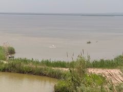 -盐城丹顶鹤湿地生态旅游区