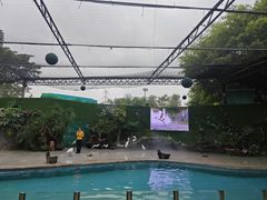-广州长隆飞鸟乐园