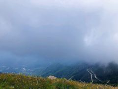 -白草畔自然风景区