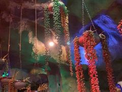 -醉小酒馆·川菜·江湖菜·重庆菜(观音桥旗舰店)