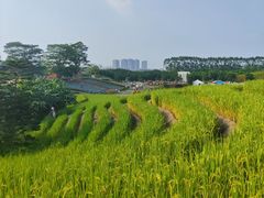 -迪茵湖田家舍生态农场