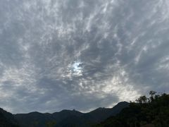 -北仑森林植物园