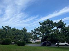 -棒棰岛宾馆景区