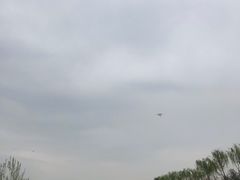 -洨河生态公园