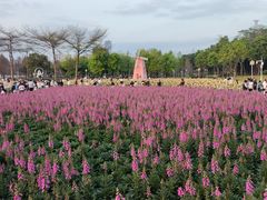 -顺峰山公园