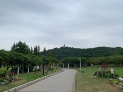-苏州上方山国家森林公园