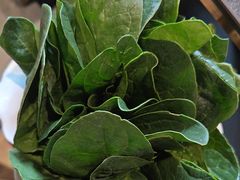 -南门四季铜锅涮肉(大屯·北苑店)