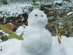 -硗碛藏寨·神木垒景区