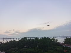 -宝安西湾红树林湿地公园