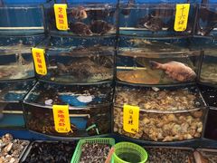 -渔中舟海鲜大排档(普陀沈家门店)