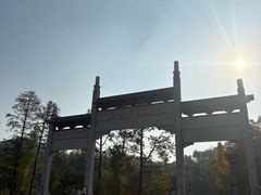 -青龙山国家森林公园