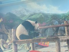 -武汉动物园