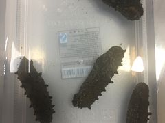 -宫品海参专卖店(静安大宁店)
