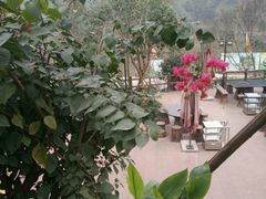 -楠柏弯休闲山庄(梨花溪店)