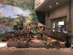 -自贡恐龙博物馆