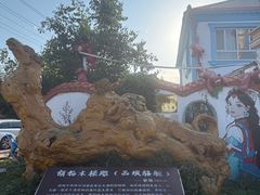 -特克斯八卦城