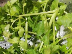 -黔府豆米火锅野菜馆(南马店)