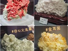 -湖南省地质博物馆