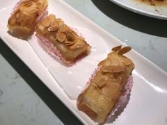 -南枝记
