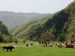 游乐设施-狮子沟牧场