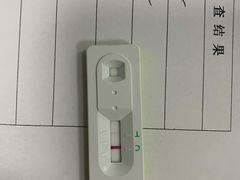 -邢大夫动物医院