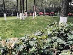 -上海市保健医疗中心