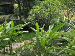 -四季酒店下午茶