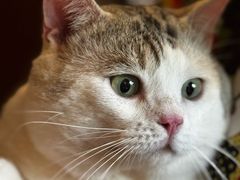 -云端咖啡私房店(河松街店)