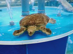 -百姓渔村(朝阳店)