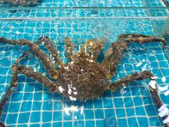 -三亚火车头万人海鲜广场