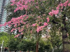 -天河体育中心