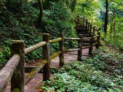-龙苍沟森林公园