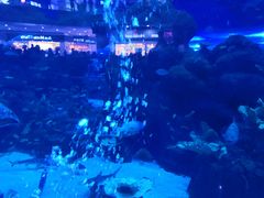 -成都浩海立方海洋公园