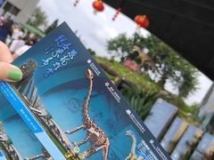 -自贡恐龙博物馆