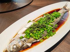 -新光酒家·河豚·海鲜·蟹料理(浦东店)