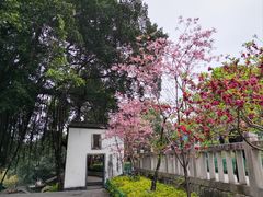 -乌山风景区
